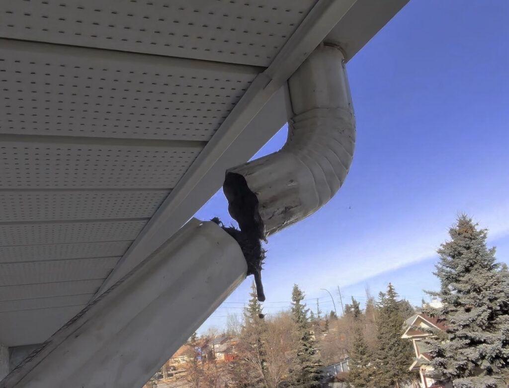 Clogged downspout, illustrating the importance of regular maintenance – How often should gutters be cleaned?